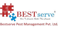 Bestserve
